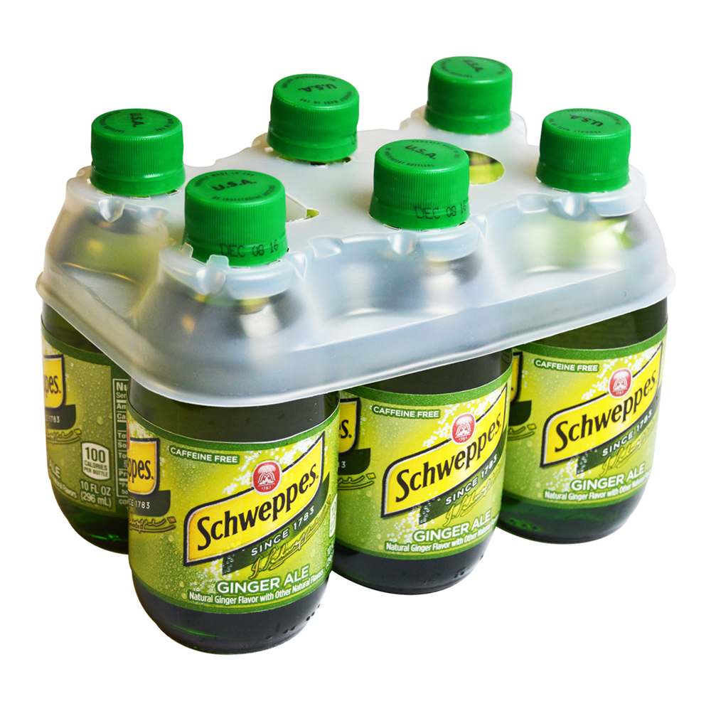 SCHWP GINGER ALE 24/10 OZ