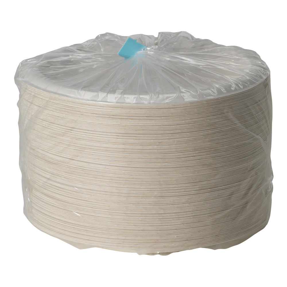 SX10W 10.25"PLATE HD WHITE(500