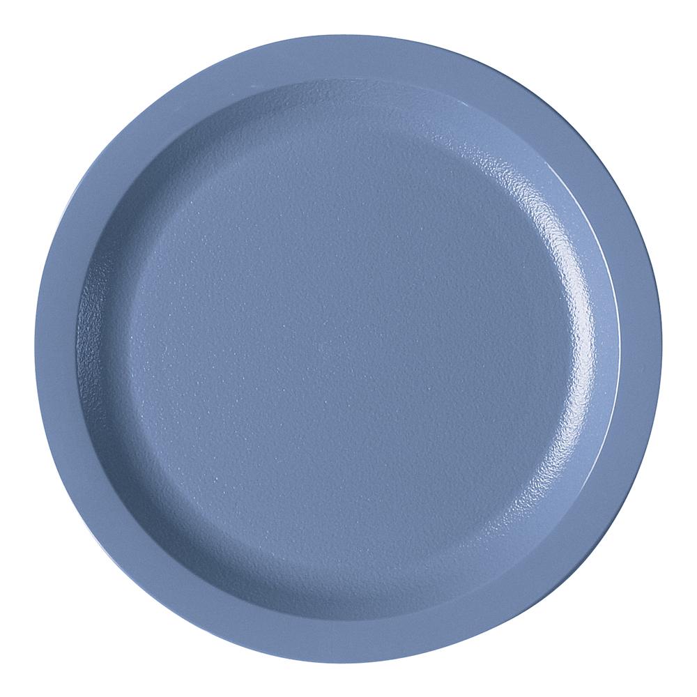 9" NR SLATE BLUE PLATE  (4)