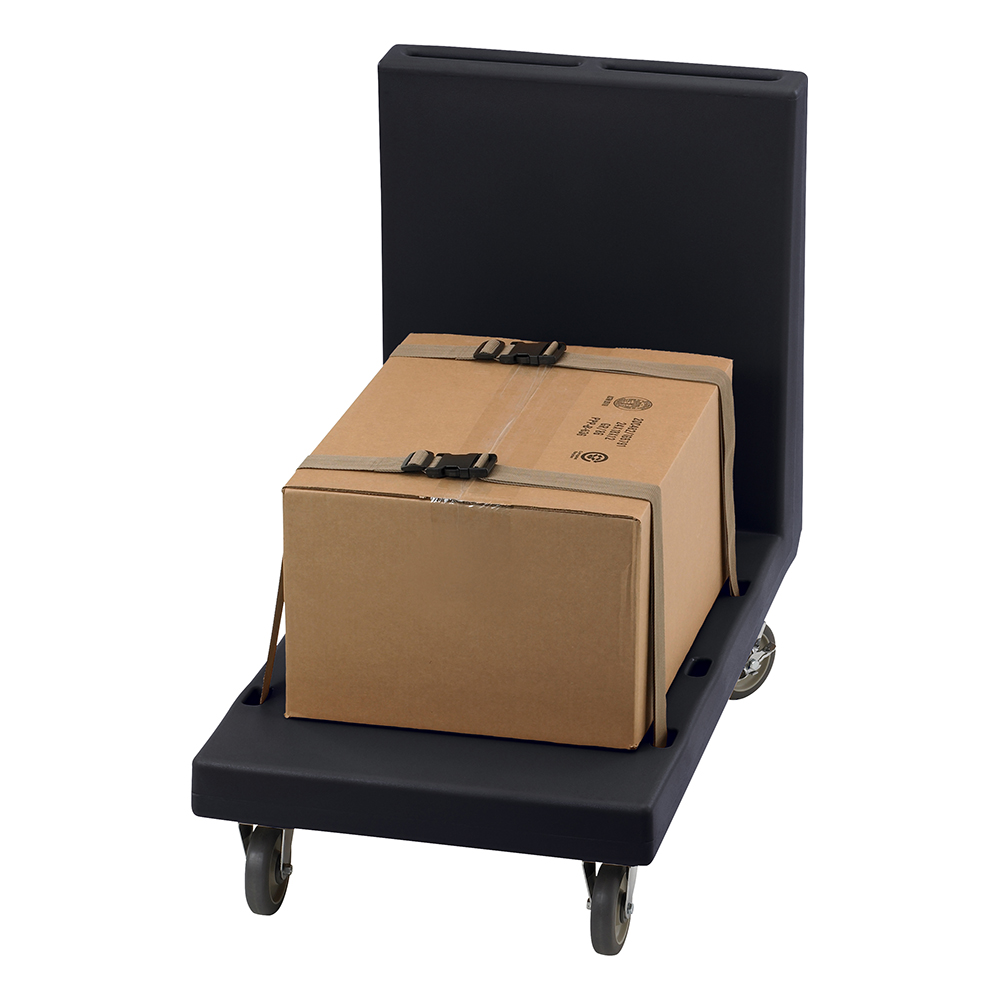 UTILITY PLATFORM TRUCK, BLACK