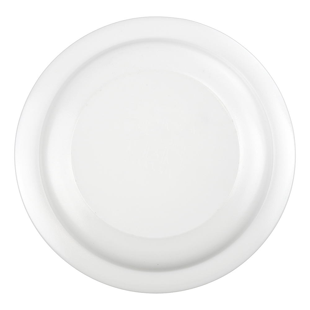 6" WHITE GLASS PLATE (2)