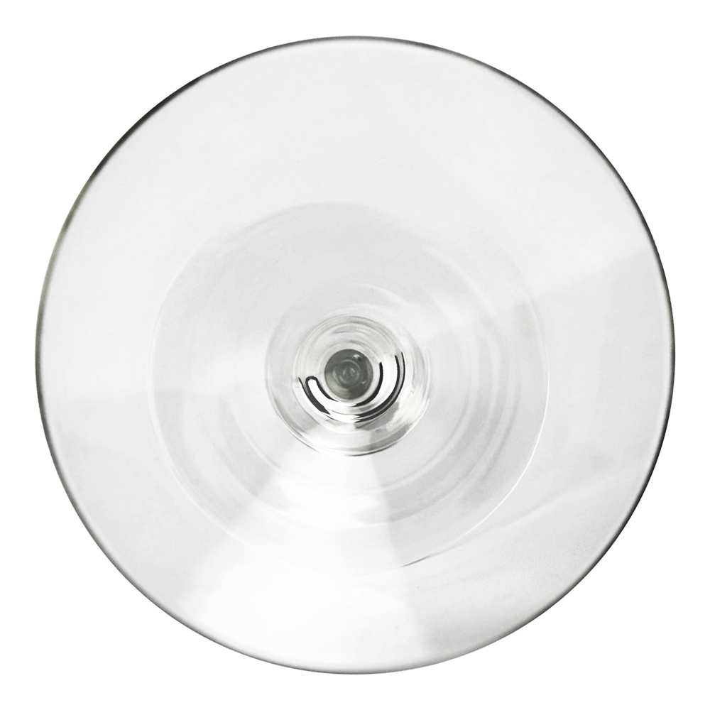 10 OZ MARTINI GLASS (1)