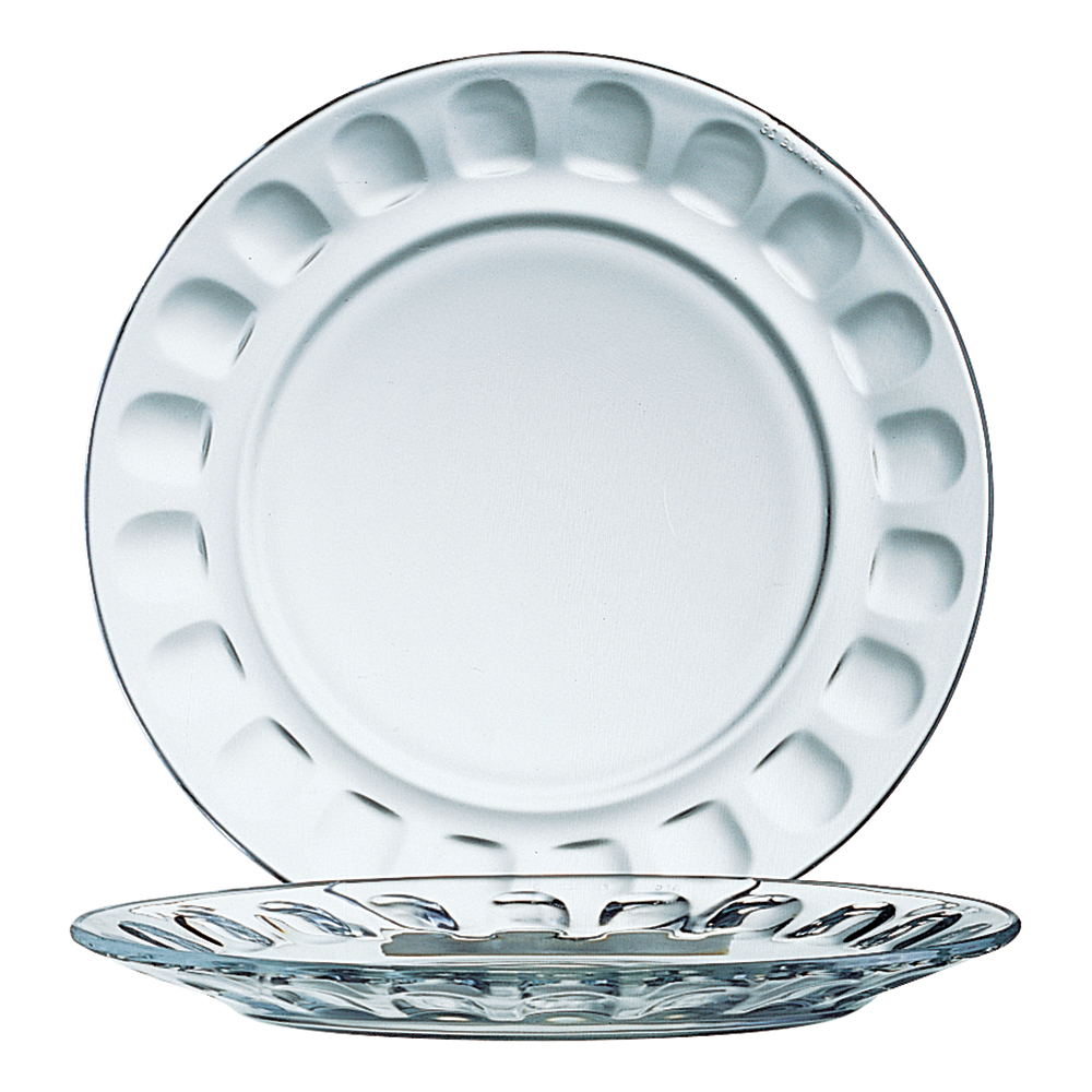 7.25 SALAD PLATE ARCOROC (3)