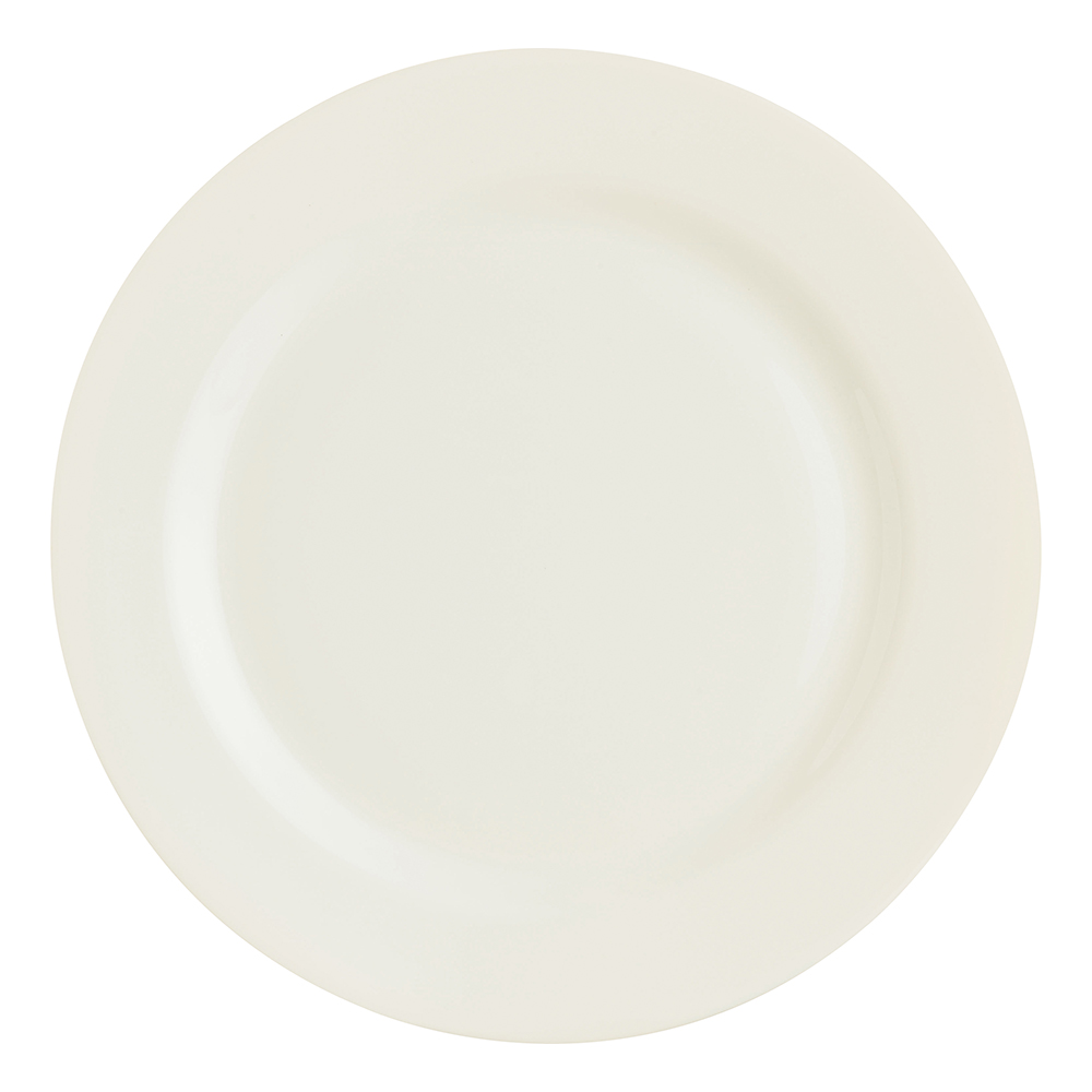 10" INTENSITY ZENIX PLATE (2)