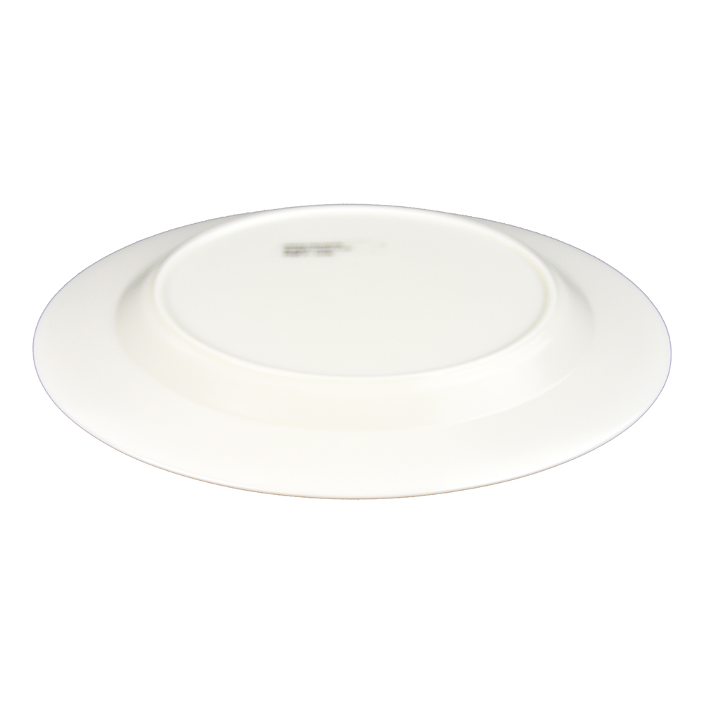 9.5" PLATE INTENSITY (2)