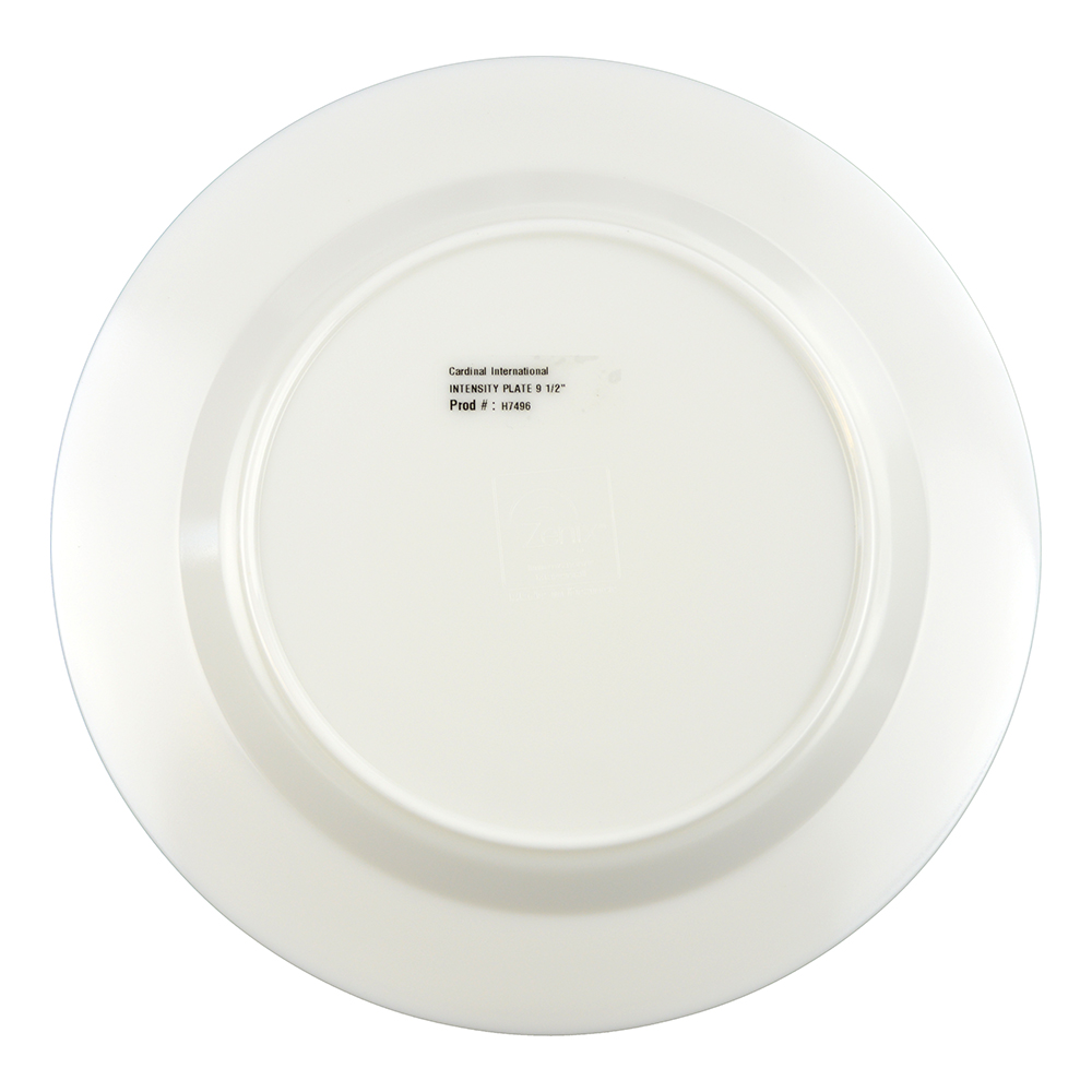 9.5" PLATE INTENSITY (2)