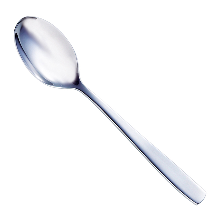 DESSERT SPOON VESCA (1)