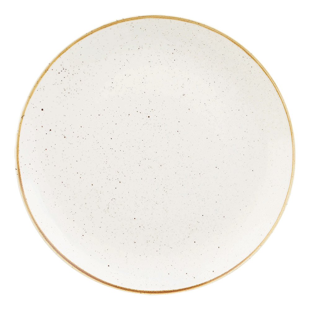 11.25" PLATE BRLY WHT (1)
