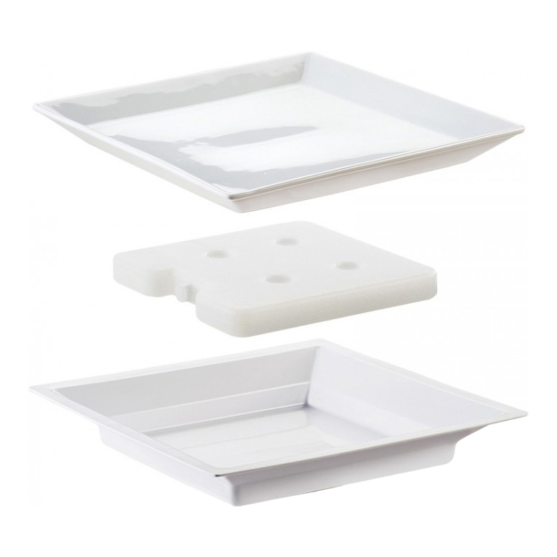 TRAY SERVING COLD CONCEPT
