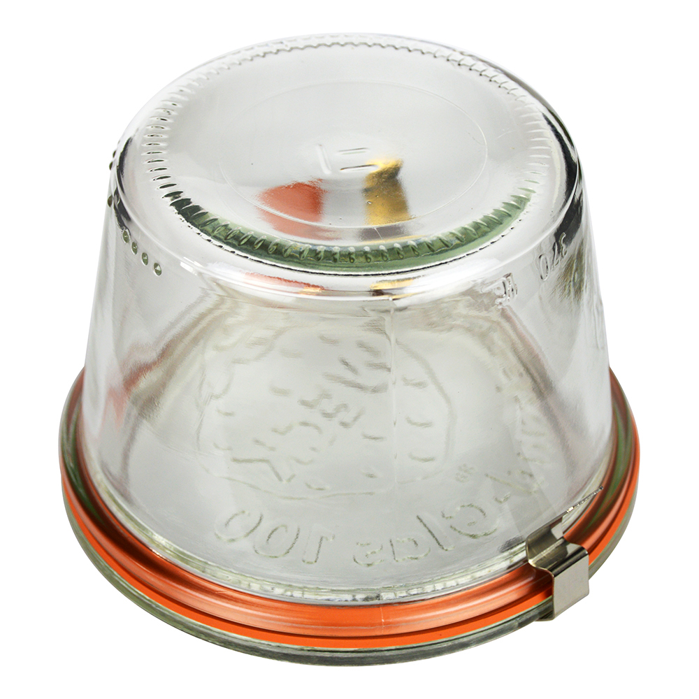 1/4 L MOLD JAR W/LID (.5)