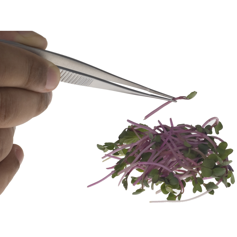 6.25" FINE STRGHT TWEEZER