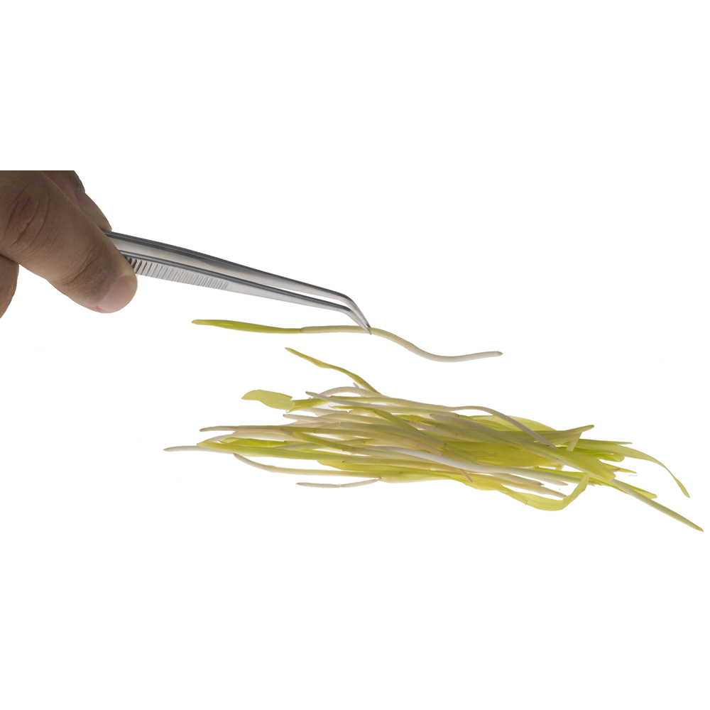 6.25" CRVD X-FINE TWEEZER