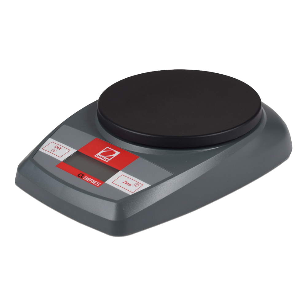 POCKET SCALE