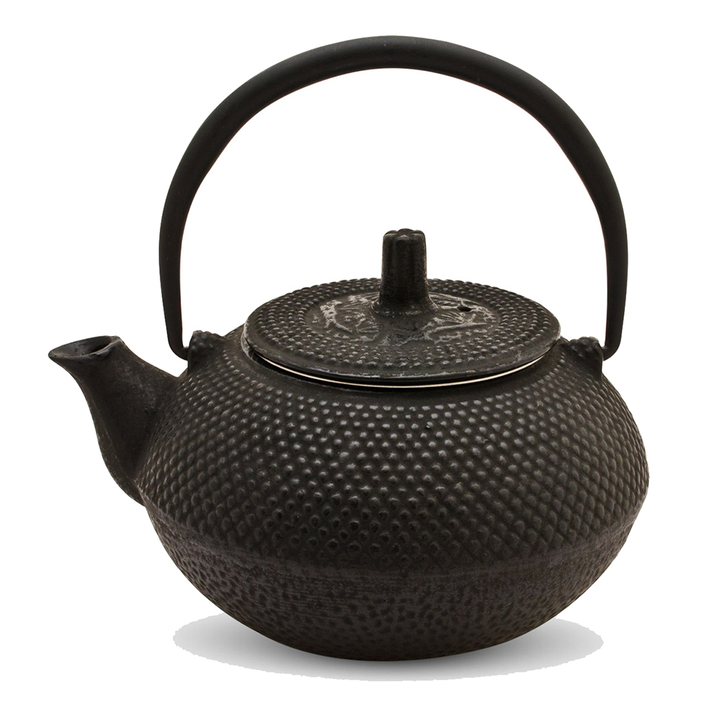 BLACK ARARE CAST IRON TEAPOT