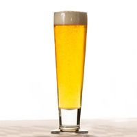 Libbey 3823 Catalina Tall Beer Pilsner Glass - 14-1/2 oz