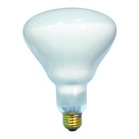 Indoor Incandescent Flood Light Bulb, Frost - 65W