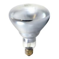 Tuffskin Bulb, Frost - 120W