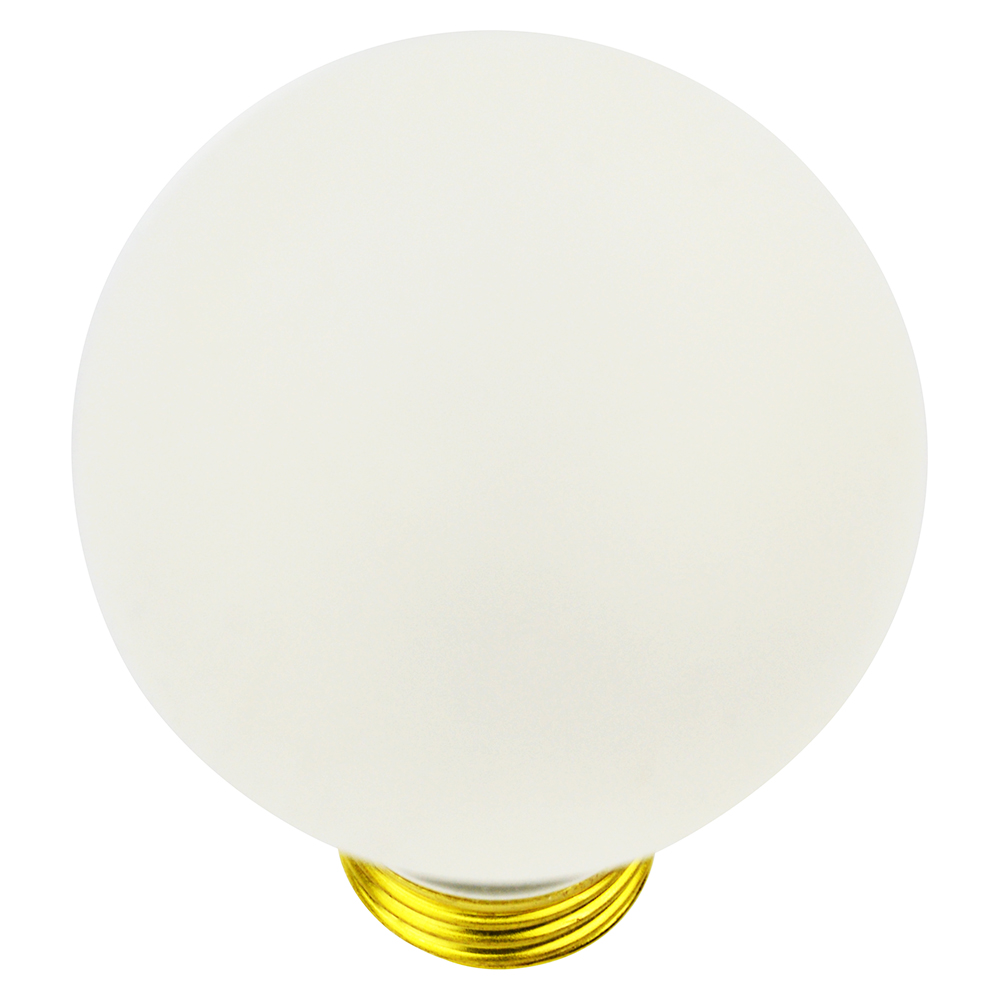 100 WATT BULB COATED (12)