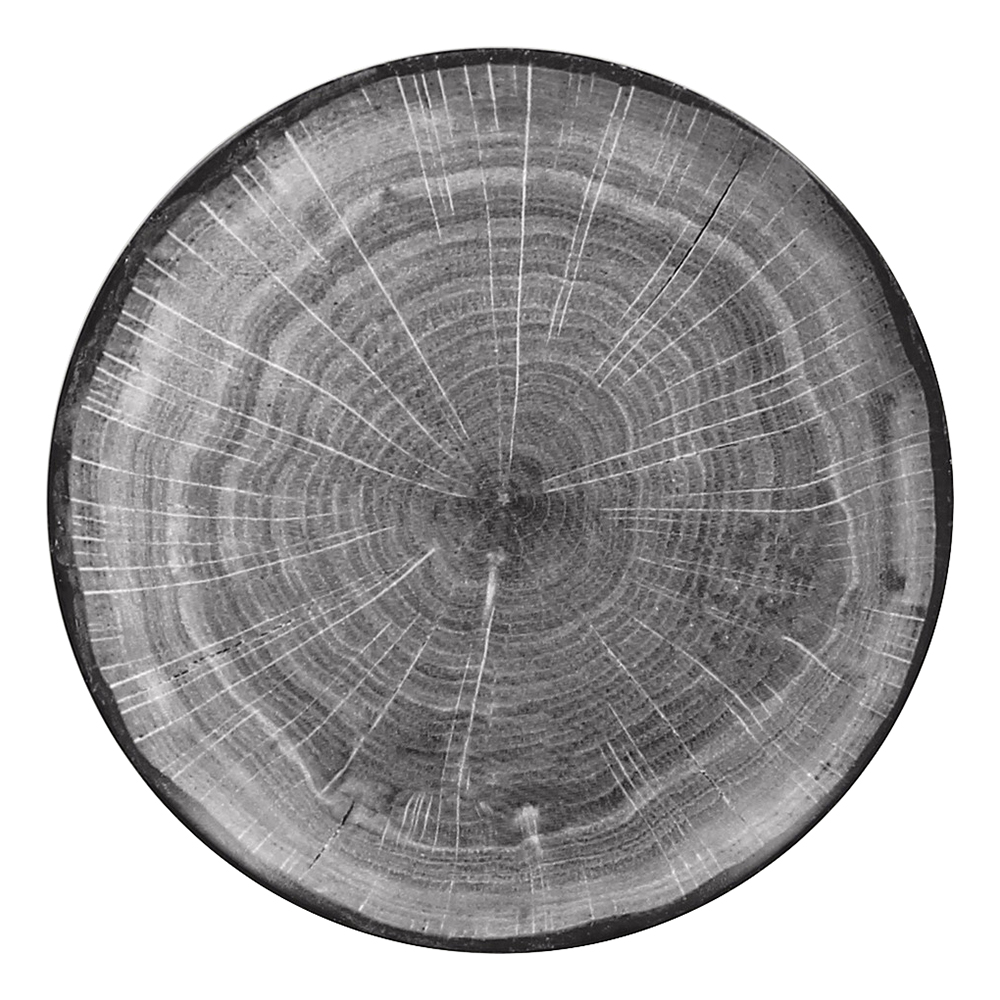 PLATE WOOD ART 5 7/8"D