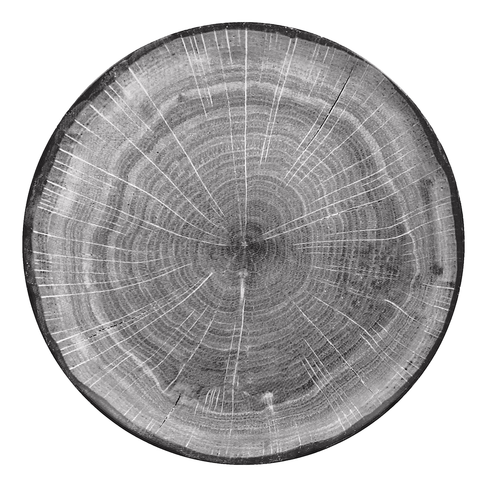 WOOD ART PLATE 11.5" BEECH GRY