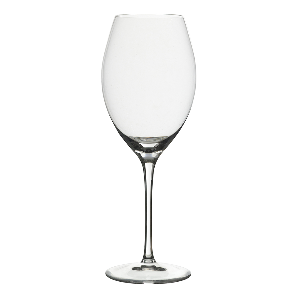 SYRAH/PINOT 17.25 OZ RONA GLS