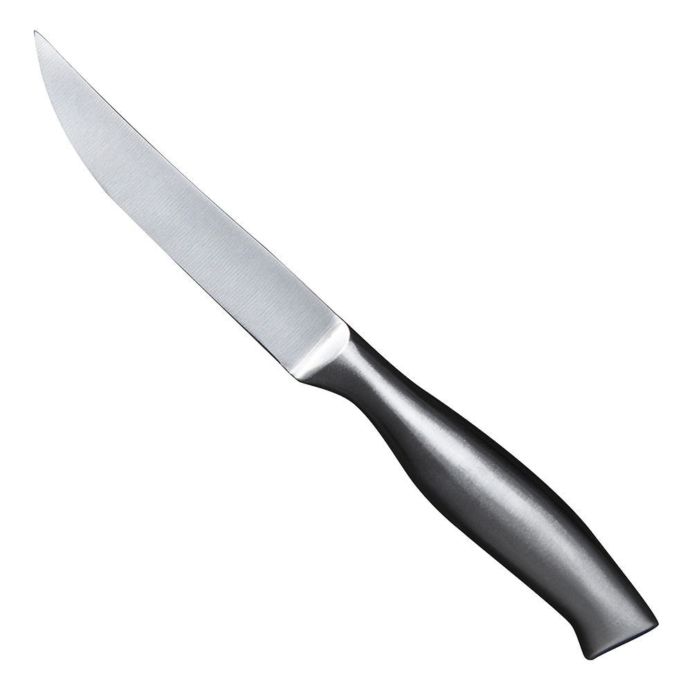 9.5" STEAK KNIFE SS SATIN (1)