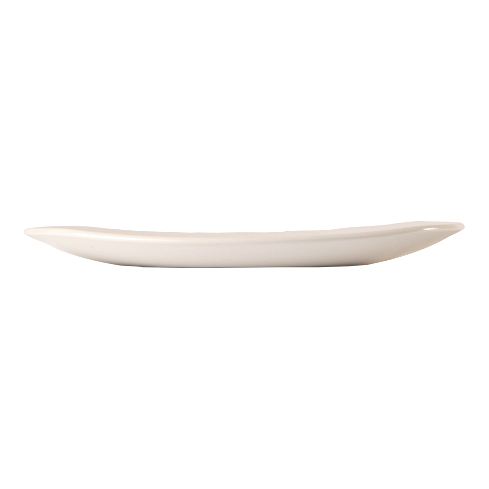 12" SPICE PLATE TASTE (1)