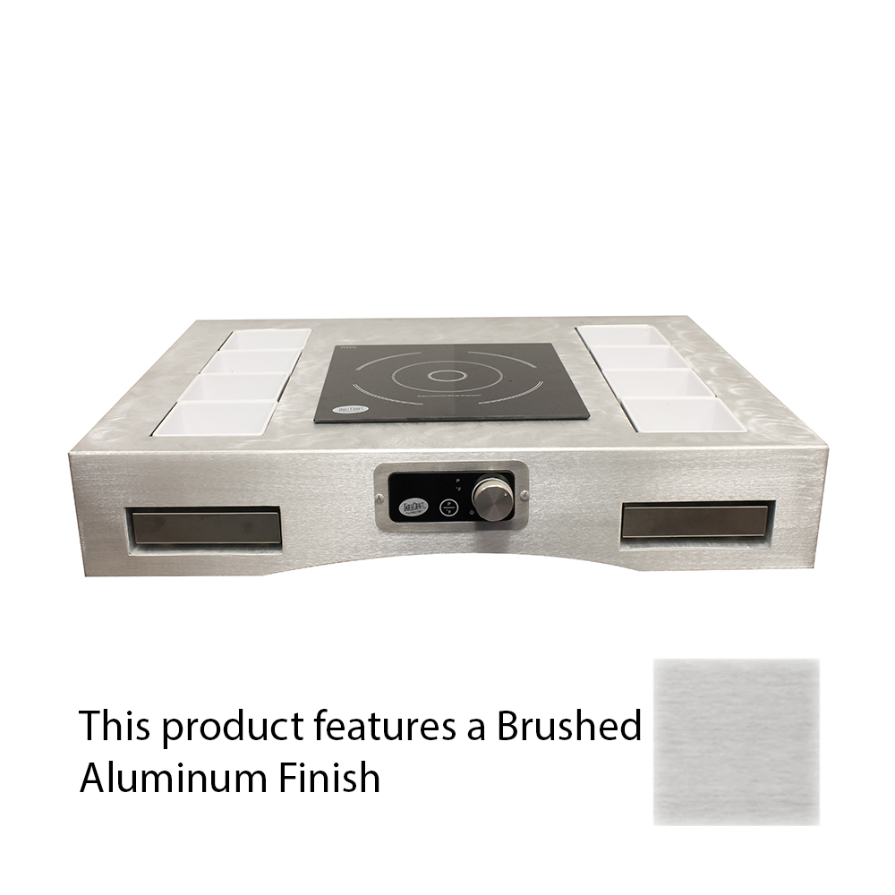 INDUCTION RANGE, COUNTERTOP