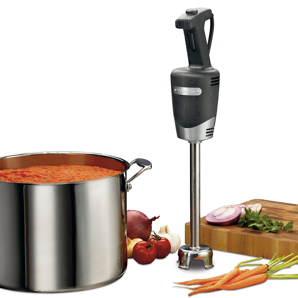 QS 24 QT IMMERSION BLENDER 10"