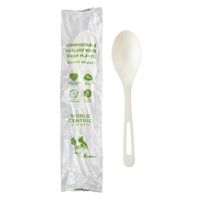 World Centric SP-PS-I Compostable Spoon, Wrapped, TPLA - 6"