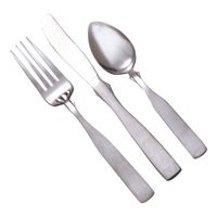World Tableware 138 5502 Salem Dinner Knife, 18/0 Stainless
Steel - 8-3/4"