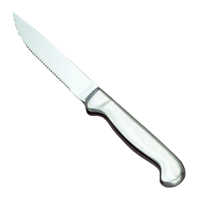 9" STEAK KNIFE SS (1)