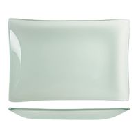 World Tableware BFP-25 Rectangular Banquet Platter, Frosted
Glass - 17" x 11-1/2"